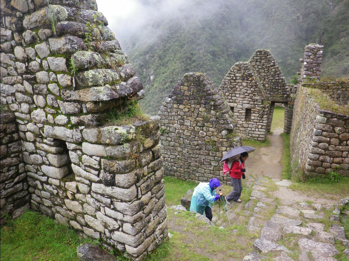 Winaywayna - Forever Young09